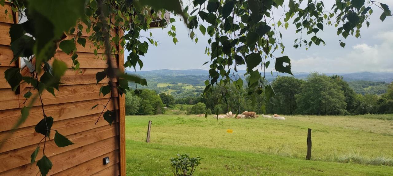 Domaine Le Lanis "Cabane De Pauline" แซ็ง-จิฮองส์ ภายนอก รูปภาพ