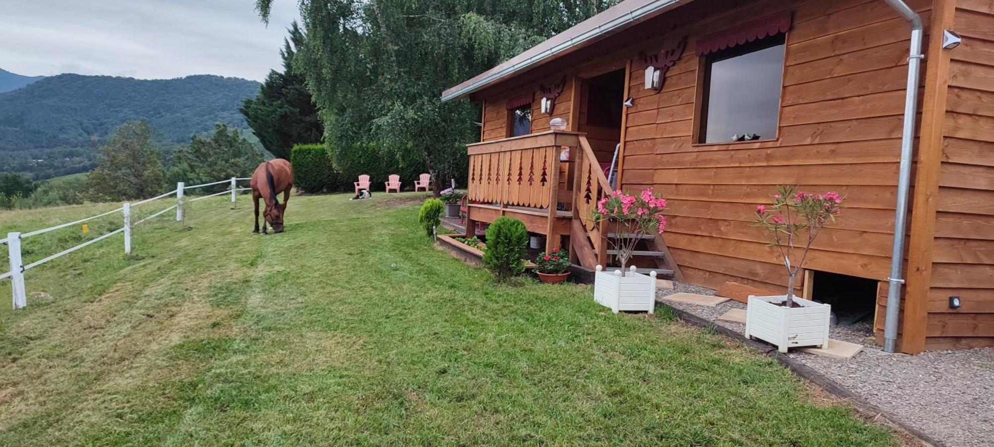 Domaine Le Lanis "Cabane De Pauline" แซ็ง-จิฮองส์ ภายนอก รูปภาพ