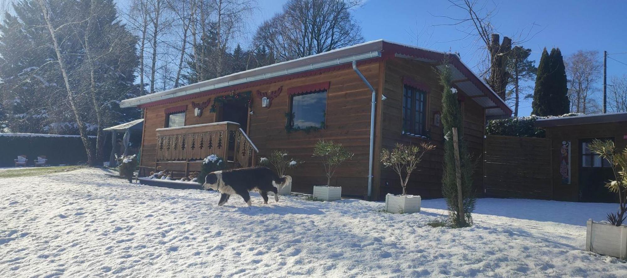Domaine Le Lanis "Cabane De Pauline" แซ็ง-จิฮองส์ ภายนอก รูปภาพ